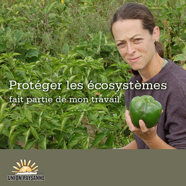 You are currently viewing Protéger les écosystèmes