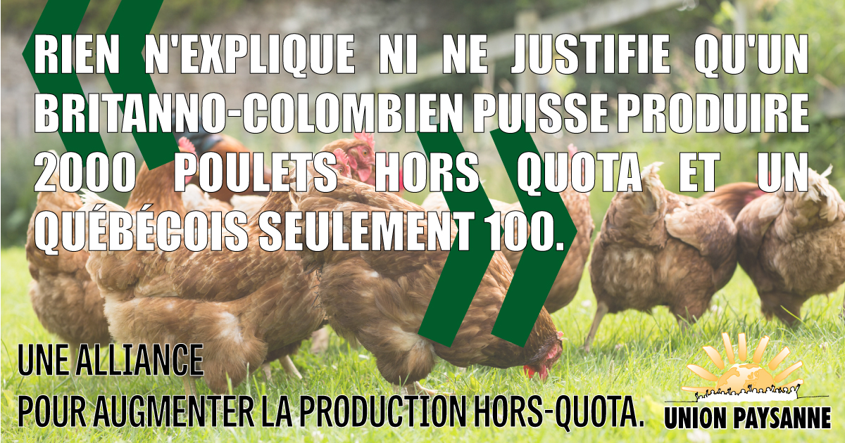 You are currently viewing L’Union paysanne lance une vidéo sur le hors-quota