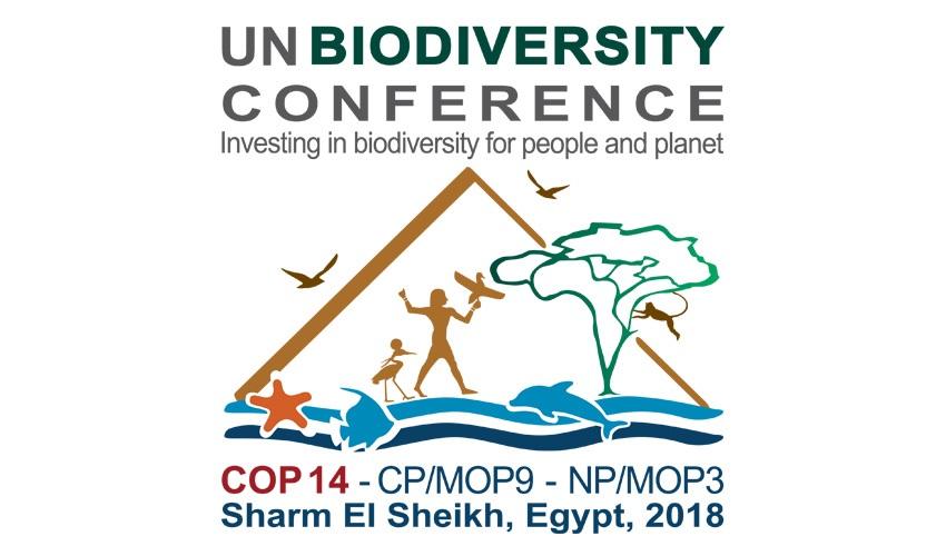 You are currently viewing COP 14 en Égypte : Les paysan.ne.s demandent un moratoire sur les technologies non-testées des corporations qui menacent la biodiversité, la sécurité alimentaire et les droits paysans