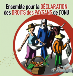 Journée internationale des luttes paysannes: appliquons la Déclaration