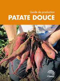 patate_douce