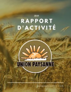 thumbnail of Rapport d’activité 2018- compresse