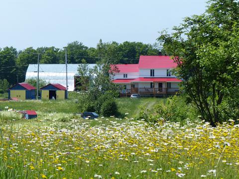 You are currently viewing À vendre: Ferme de 47 hectares